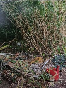 Rubbish in overgrown garden