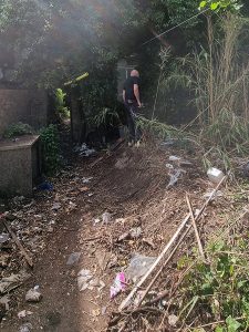 Garden waste from demolished property